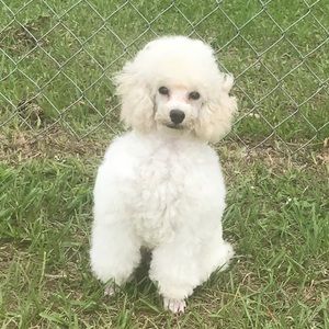 Meet your Posher, Sonji